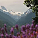 Lavish With Wellness Apartment Veysonnaz