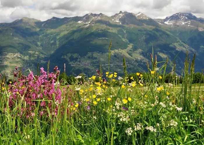 Lavish With Wellness アパート ヴェゾナ