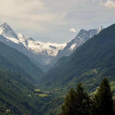 Lavish With Wellness Вейзона