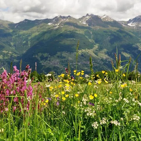 Lavish With Wellness Апартаменты Вейзона