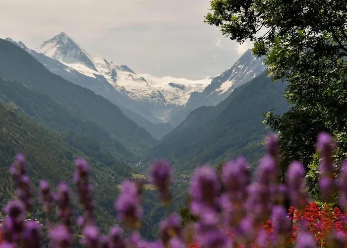 Lavish With Wellness Apartment Veysonnaz
